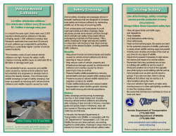 Nevada Safety Crossing Brochure
