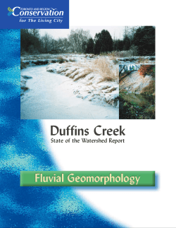 Fluvial Geomorphology