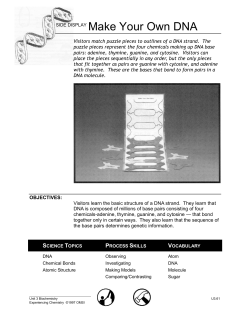 SIDE DISPLAY Make Your Own DNA