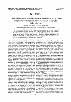 Photobacterium mandapamensis Hendrie et al., a Later Subjective