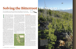 Solving the Bitterroot Elk Mystery