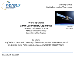 EO/Copernicus WG