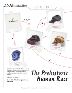 The Prehistoric Human Race
