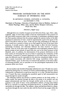 pressure distribution on the body surface of swimming fish