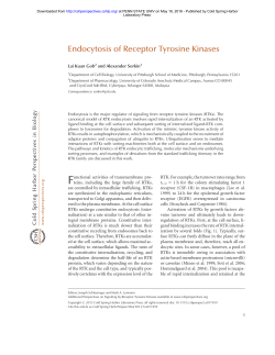 Endocytosis of Receptor Tyrosine Kinases