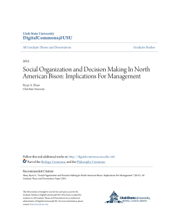 Social Organization and Decision Making In North American Bison