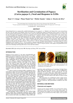 Sterilization and Germination of Papaya (Carica papaya L.) Seed