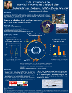 Tidal influences on narwhal movements and pod size