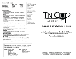 burgers &bull; sandwiches &bull; pizza