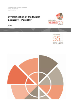 Diversification of the Hunter Economy &ndash; Post BHP