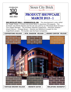 900 Nicollet Mall - Sioux City Brick