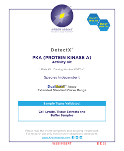 DetectX&reg; PKA (PROTEIN KINASE A)
