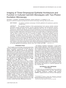 Imaging of three-dimensional epithelial architecture and function in