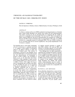 uridine-5-h 3 radioautography of the human sex