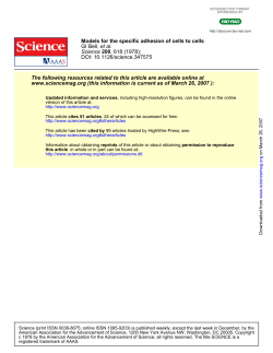 G. Bell, Science, 200, 618 (1978)