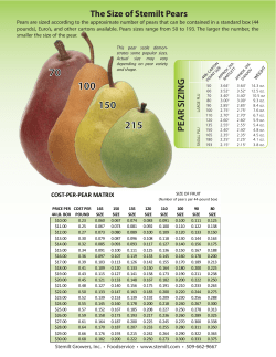 Size of Pears - Stemilt Trade