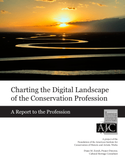 Charting the Digital Landscape of the Conservation Profession