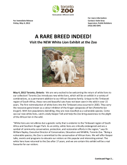 NEW White Lion Exhibit at the Zoo