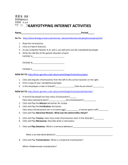 karyotyping internet activities