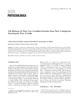 Life Histories of Three New Coccidian Parasites from Three