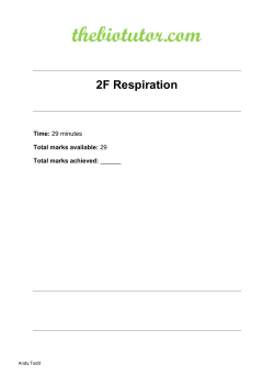 File - thebiotutor.com