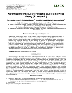 Optimised techniques for mitotic studies in sweet cherry (P. avium L.)