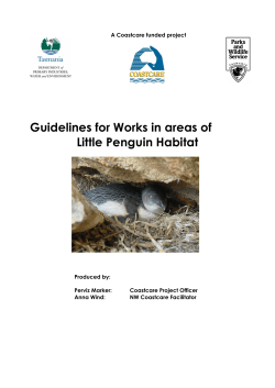 Guidelines for Works in areas of Little Penguin Habitat