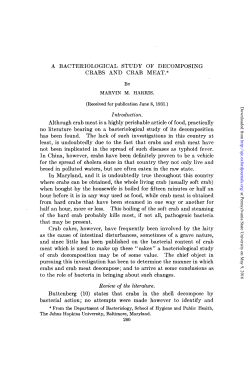 A BACTERIOLOGICAL STUDY OF DECOMPOSING