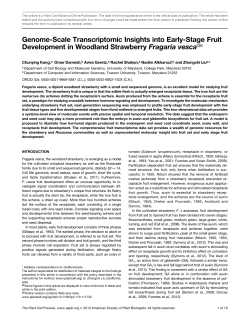 Genome-Scale Transcriptomic Insights into Early