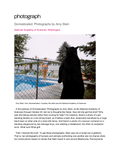 Domesticated: Photographs by Amy Stein