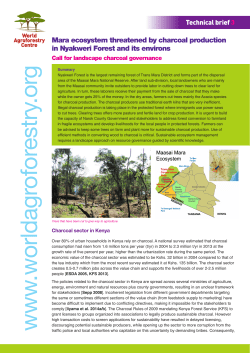 Mara ecosystem threatened by charcoal