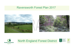 Ravensworth Draft Forest Plan 2017