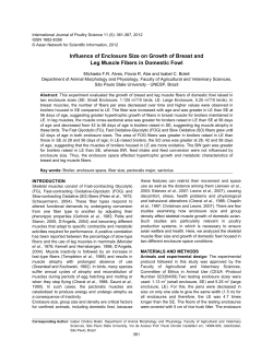 EFFECTS OF ENCLOSURE SIZE ON FIBERS GROWTH OF