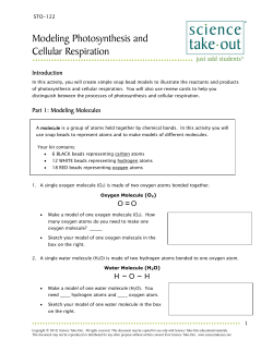 Modeling Photosynthesis and Cellular Respiration