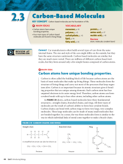 2.3 Carbon-Based Molecules