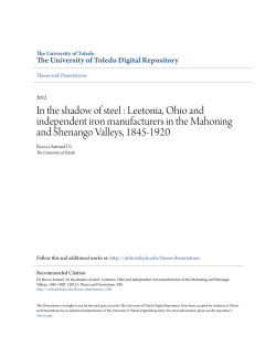 In the shadow of steel : Leetonia, Ohio and independent iron