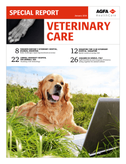 AGFA Special Report For Vets