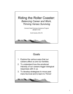 Riding the Roller Coaster: