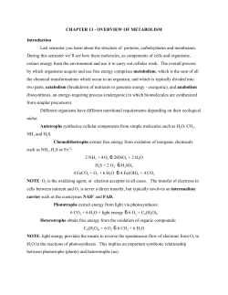 CHAPTER 13 - OVERVIEW OF METABOLISM Introduction Last