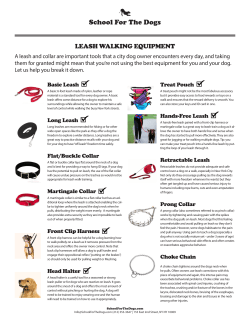 leash walking equipment