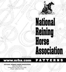 pattern 3 - Sandtorp Performance Horses