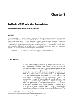 Chapter 3 Synthesis of RNA by In Vitro Transcription