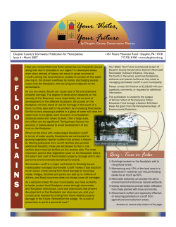 Issue 4 - Floodplains, Riparian Buffers and Wetlands