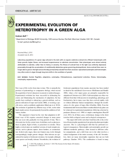 experimental evolution of heterotrophy in a green alga