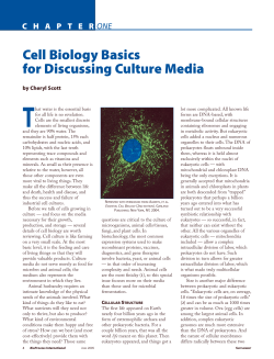 Developments in Media for Culturing Cells
