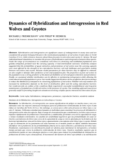 Dynamics of Hybridization and Introgression in Red Wolves and