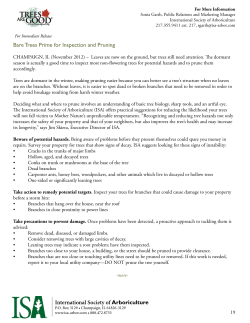 Bare Trees Prime for Inspection and Pruning