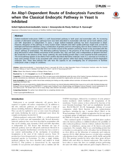 An Abp1-Dependent Route of Endocytosis Functions when the
