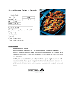 Honey Roasted Butternut Squash