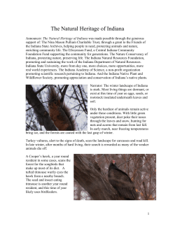 Illustrated Script: Episode 3